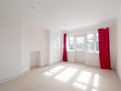 Picture 21